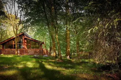 Image de Beddgelert Silver Birch - Fresh Design, Beddgelert