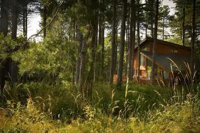 Image de Blackwood Forest Golden Oak, Winchester