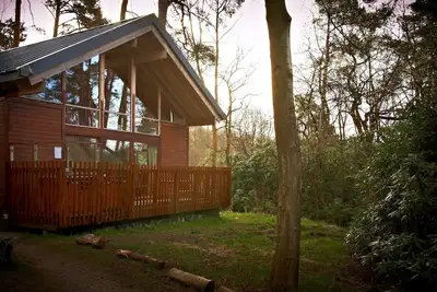 Strathyre Classic Silver Birch, Callander
