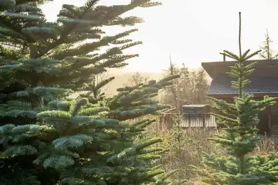 Image de Garwnant Golden Oak, Cwmtaf - Tranquil Woodland Retreat
