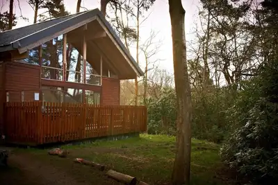 Strathyre Classic Silver Birch, Callander