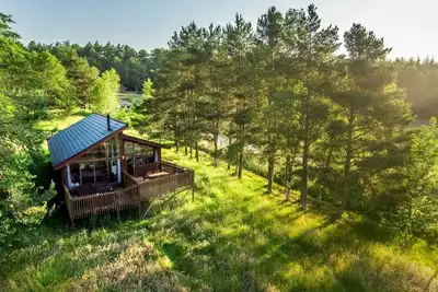 Image de Cropton Silver Birch, Cropton Forest