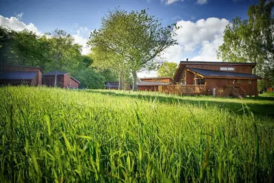 Image de Forest of Dean Meadow - Golden Oak, Coleford