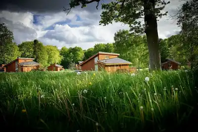 Image de Forest of Dean Meadow - Silver Birch cabin, Coleford