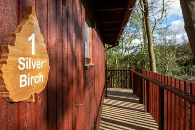 Image de Strathyre New Style Silver Birch Cabin, Callander