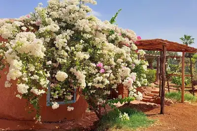 Image de Les Jardins de Taja - Maison Lise - 4 personnes