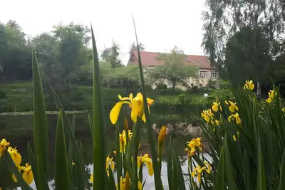 Image de Maison de vacances « Gîte 18 personnes avec étang » avec vue sur le lac