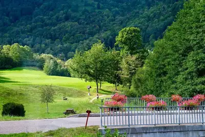 Image de Gite Les Jonquilles à Mittlach