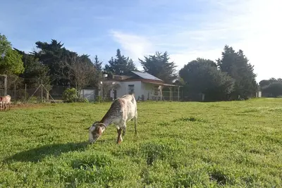 Image de Rural house in the middle of nature