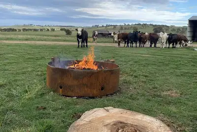 Image de Séjour de luxe à la ferme, ruisseau, faune, feu, étoiles