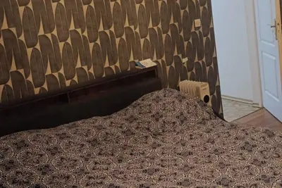 Image de Maison accueillante en plein cœur de Lille