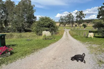 Image de Maison de vacances pour 4 a ADELSÖ