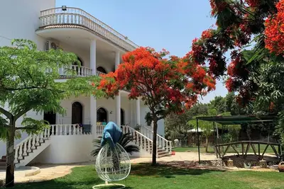 Image de Private Garden Oasis Near the Pyramids in Giza, 1000