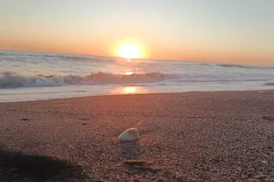 Image de Honey Beach House -4 habitaciones - 9 camas - 3 baños