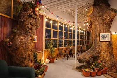 Image de Private Panoramic Viewpoint-Apartment with natural trees