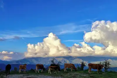 Image de Havre de paix au cœur de la montagne corse