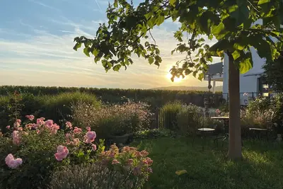Image de Sohns Ferienwohnung Himmel - Vacation in a winery