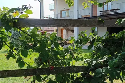 Image de Weekend Health Wellness Regenerate