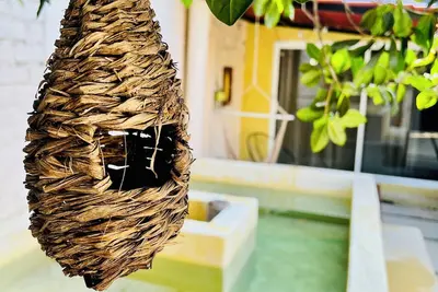 Image de Casa privada con espacios amplios céntrica en el puerto. @CasaCactusAcapulco