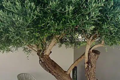 Image de Villa avec piscine - 3 Chambres