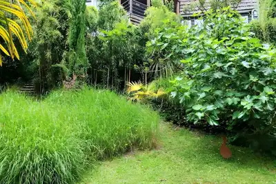Image de Appartement ”Maison Des Bois” avec terrasse et jardin privatifs et Wi-Fi