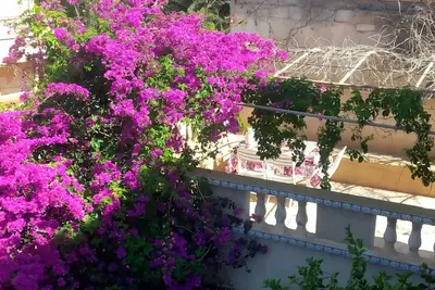 Maison+appartement+piscine privée+plage