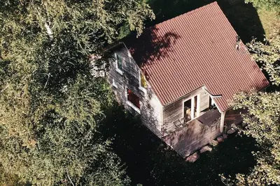 Image de Bouleau - Chalet en bois dans son écrin de verdure