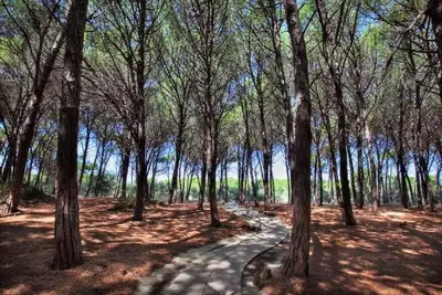 Image de Appartamento - Pizzo Beach Club