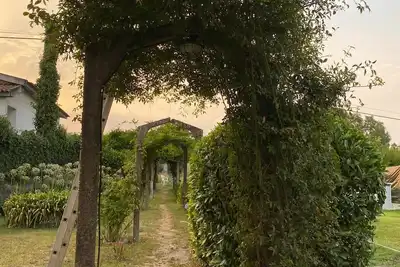 Image de Cantinho Dos Avós - Alojamento Local