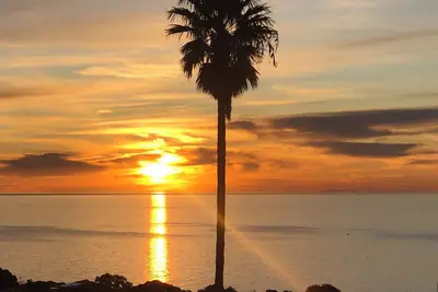 Image de Uninterrupted Views at Marino Beachouse