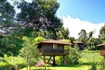 Image de Quinta das Eiras Shelter 3