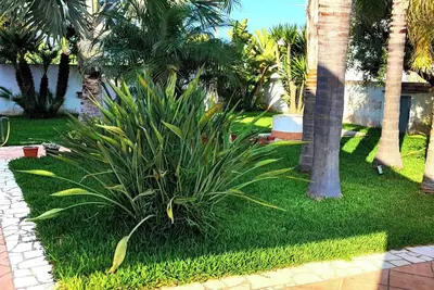 Image de Villa Indépendante à 150m de la Mer – Terrasse Vue Mer & Cuisine Extérieure