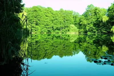 Image de Spacious 6-bedroom villa with private lake and fitness room close to Berlin