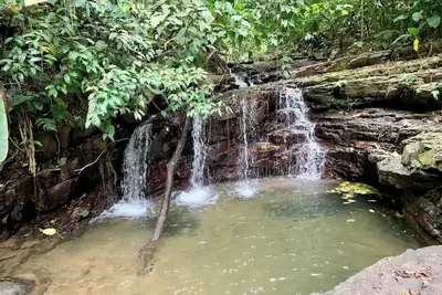 14a Rainforest view Villa, plus Studio Apartment.