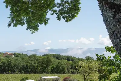Image de Luxury Chianti Villa with Private Pool & Jacuzzi Exclusive Summer Experience