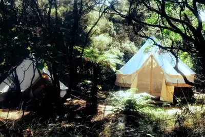 Image de Unique Kaitaia Accommodation for North Island Glamping
