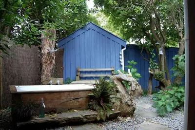 Image de Peaceful Cottage Surrounded by Lavender on the South Island of New Zealand