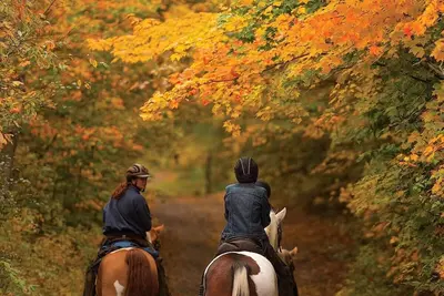 Image de Cherryfield Trails Retreat: Dog Friendly Riverfront with Trails at Your Door