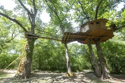 Image de Tree-house Forest Camp 4p