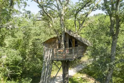 Image de Tree-house Forest Camp 2p