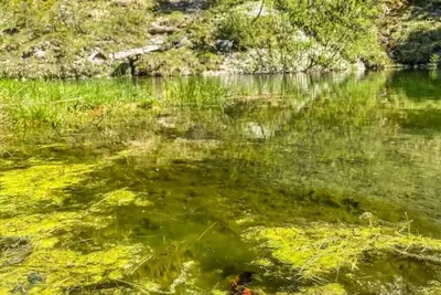 Image de Chalet Wildalpen (in a quiet location & with wellness)