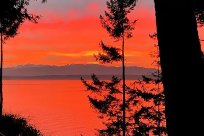 Image de New Listing-Ebb Tide Cabin on Mutiny Bay! Amazing Sunsets, Eagles, Sandy Beach!