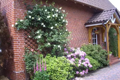 Image de Cozy vacation apartment for 2 people in the Lüneburg Heath.