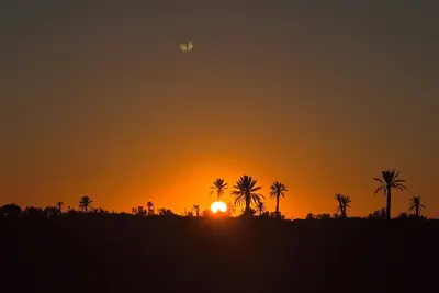Image de peaceful & authentic life of the Kerkennah Islands