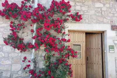 Image de Casa Rural Ca La Pascola – Maison de charme pour 10 personnes à Guimerà