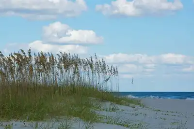 Image de 1br Oceanfront on the Golden Mile