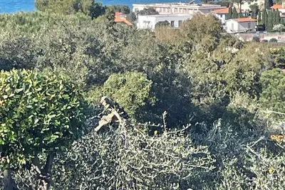 Image de Apartment Gongolo