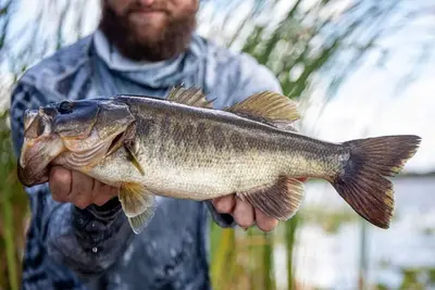 Image de Pet Friendly | Private Dock & Direct Canal Access