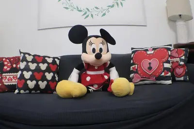 Image de Disney dream home with pool and themed rooms