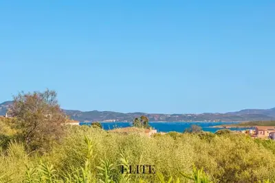 Elite Collection- Domo Mea